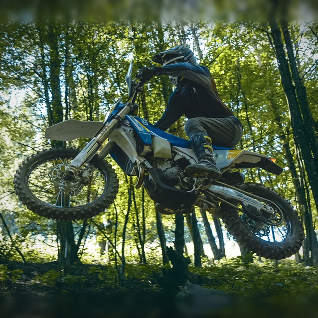 TE 300 Heritage · Motor