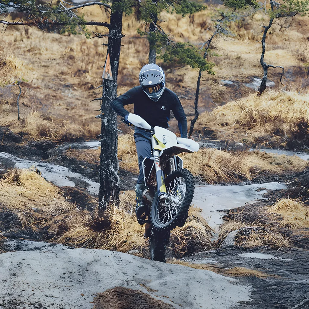 FE 350 · Motor