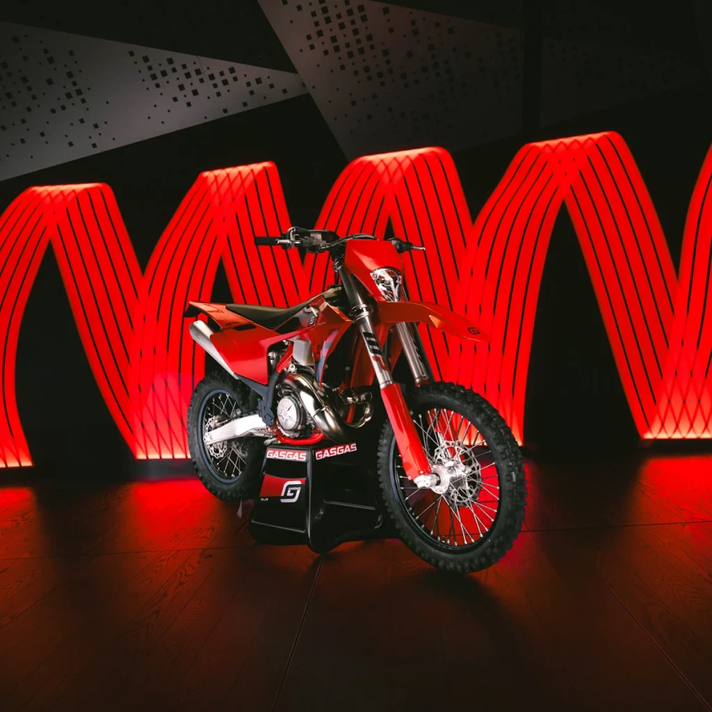 EC 300 · Motor