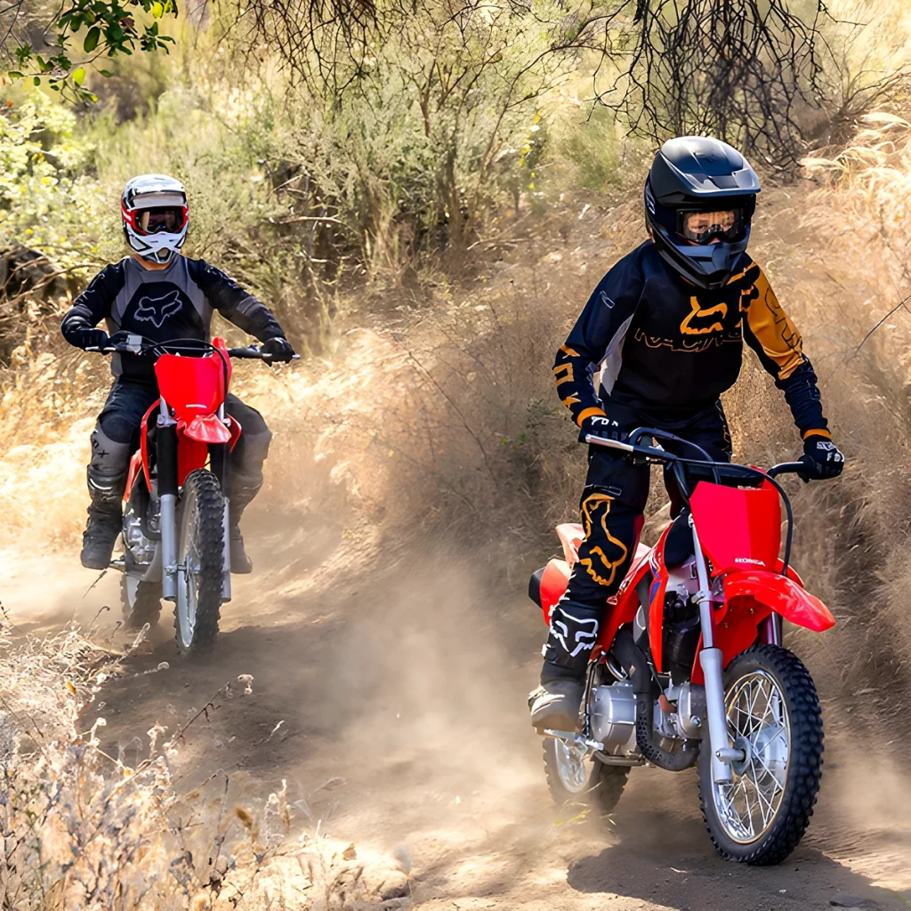 CRF110F · Motor