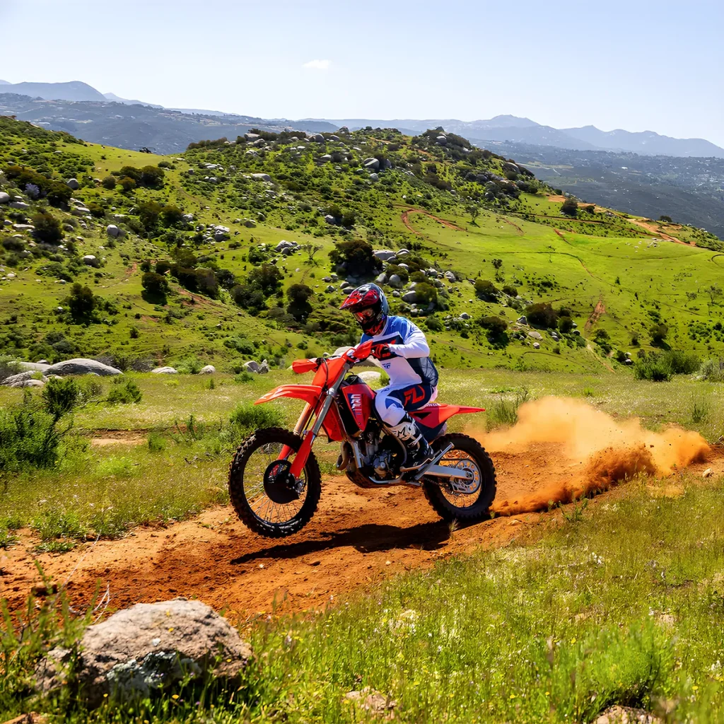 CRF250RX · Motor