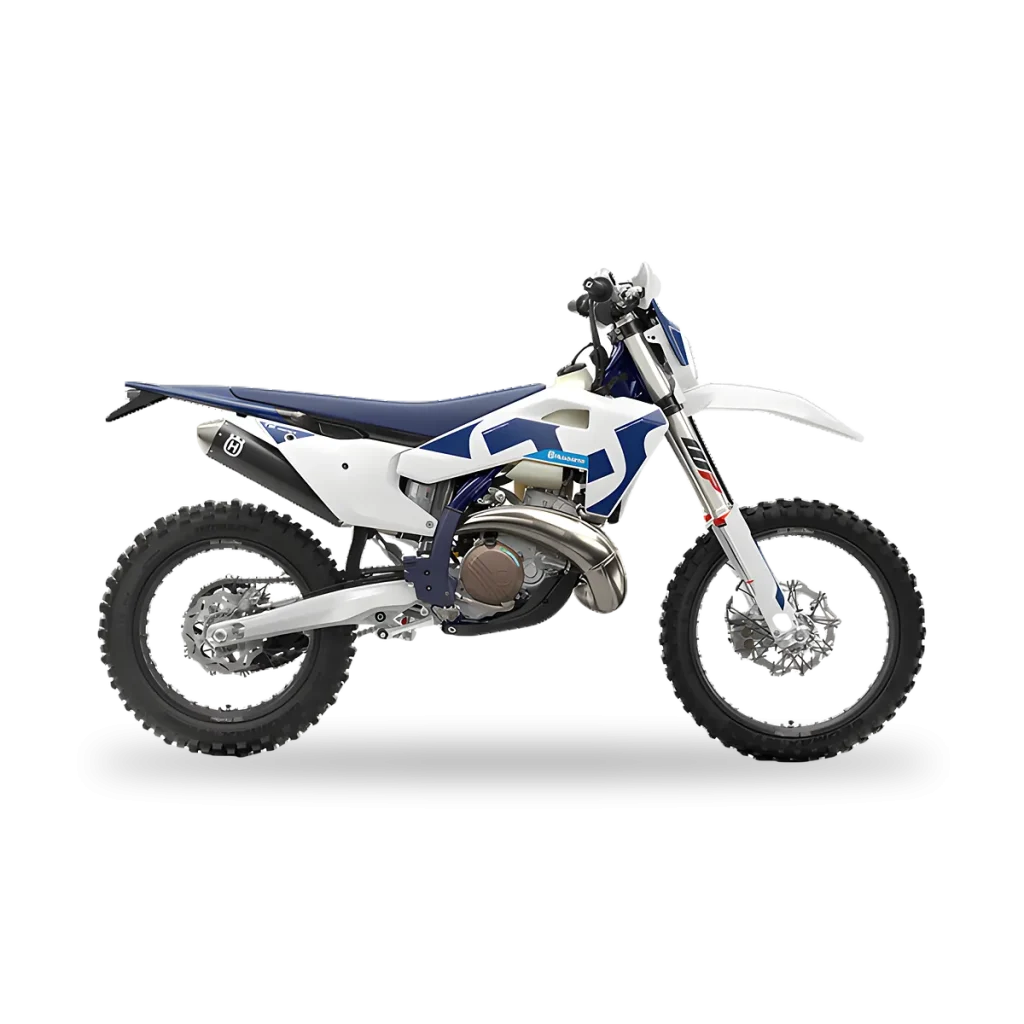TE 300
