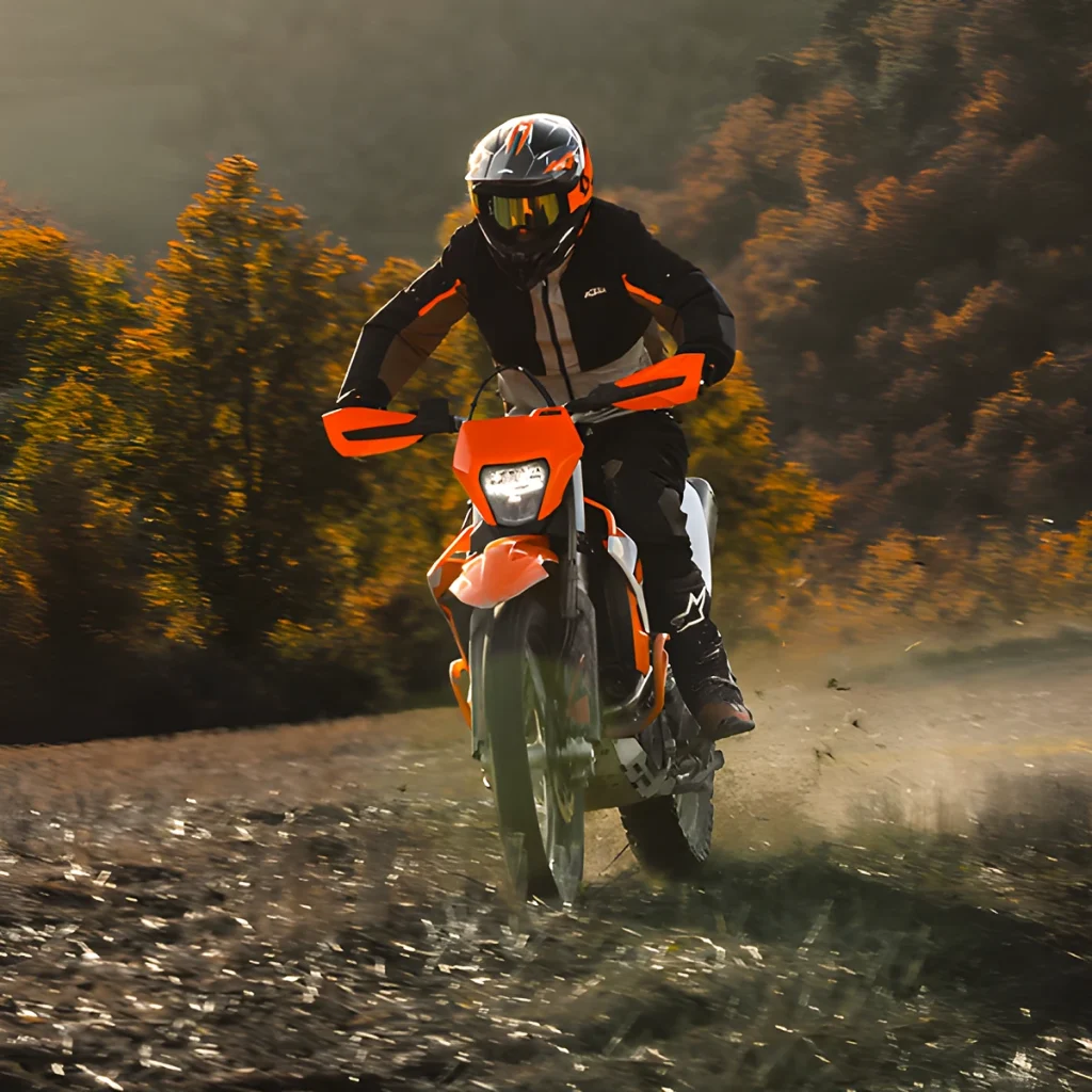 690 Enduro R · Motor